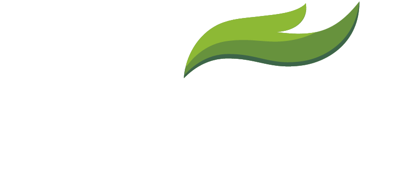 Juno Logo